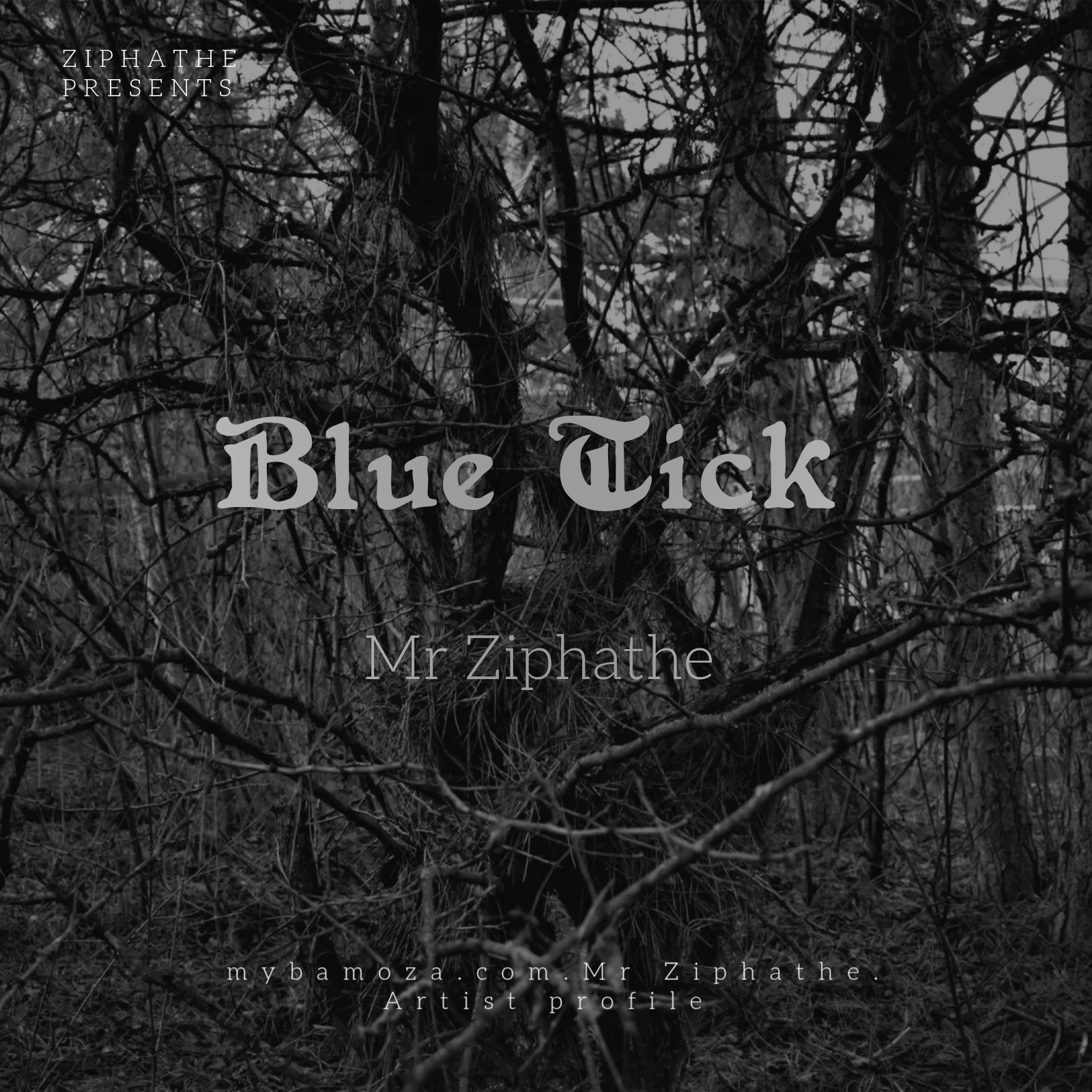 1732654527_Black Metal Dark Tree Black & White CD Cover_1732637036432.jpg